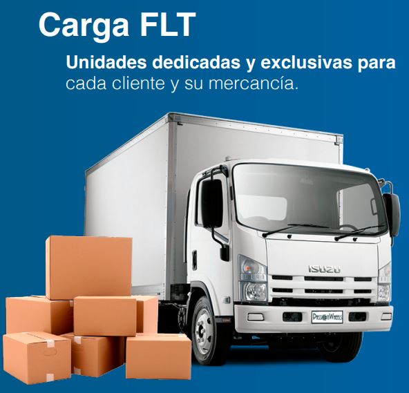 Carga FLT